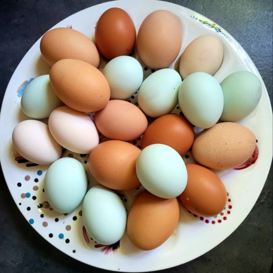 Oeufs Frais de Poules Heureuses / Fresh Farm Eggs